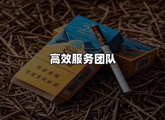 专业优势